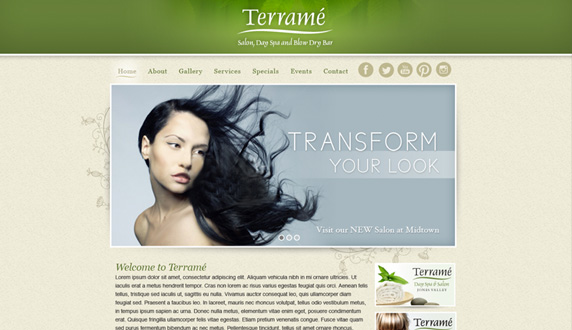 Terrame Salon and Blow Dry Bar Website